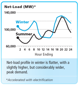 Winter Net-Load Hourly Profile