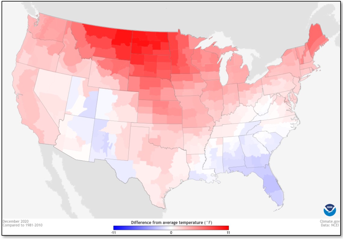 december 2021 NYMEX Image 4