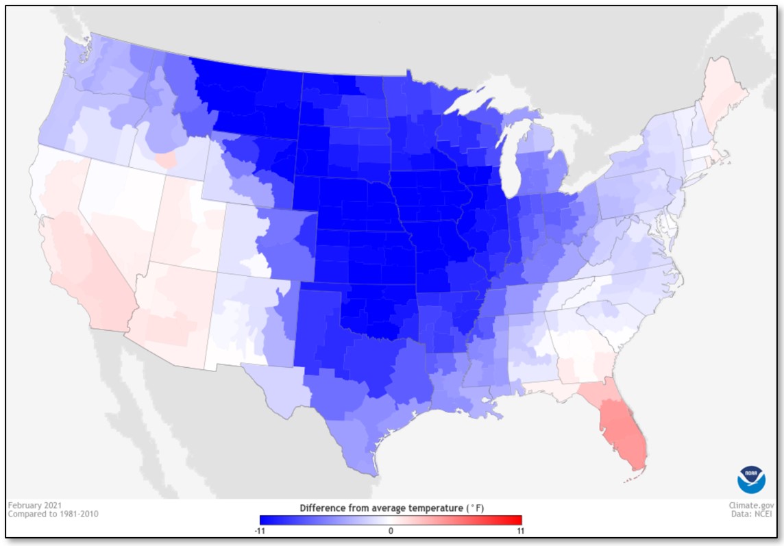 december 2021 NYMEX Image 5