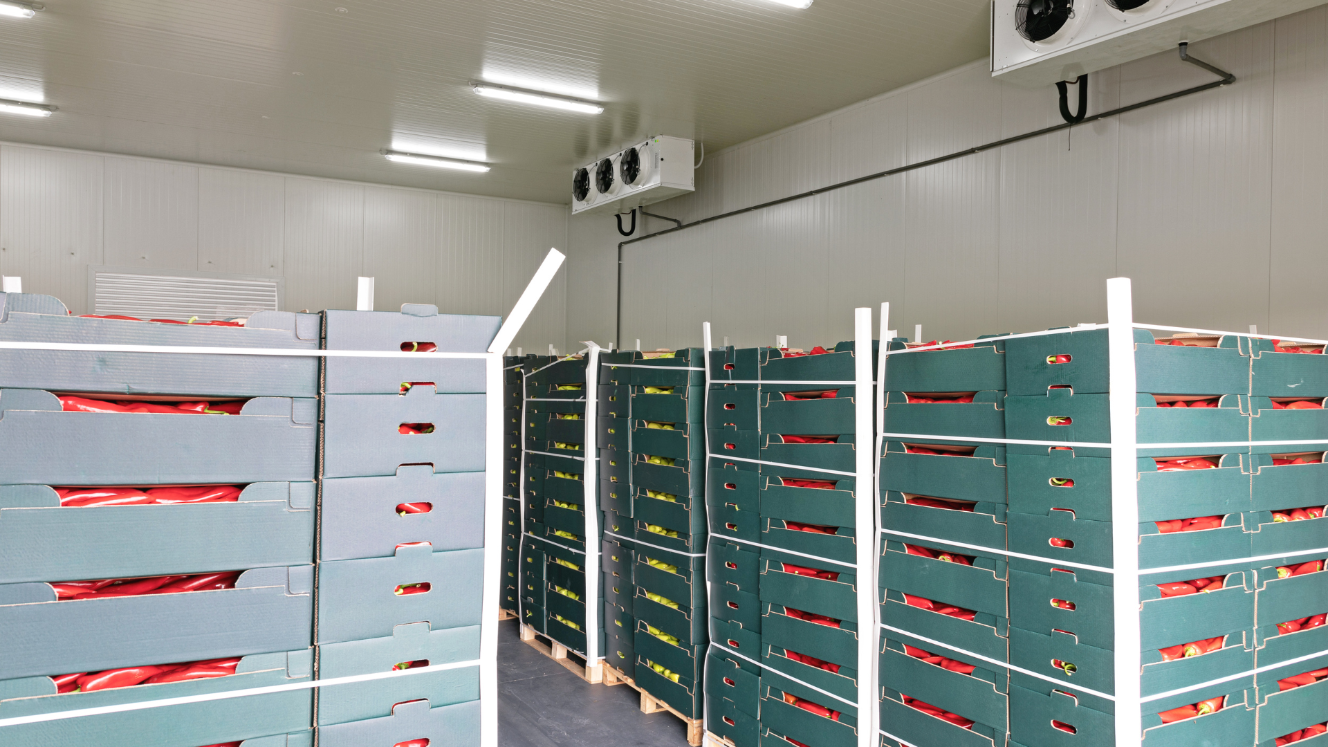 Cold Storage-1