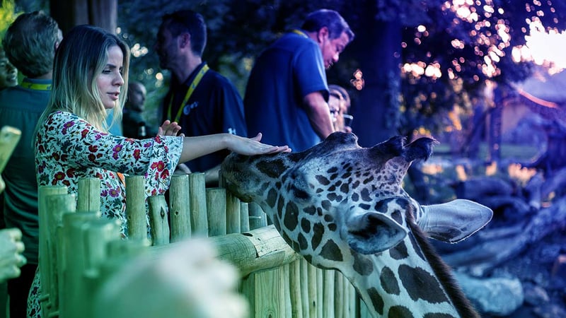 Museums and Zoos