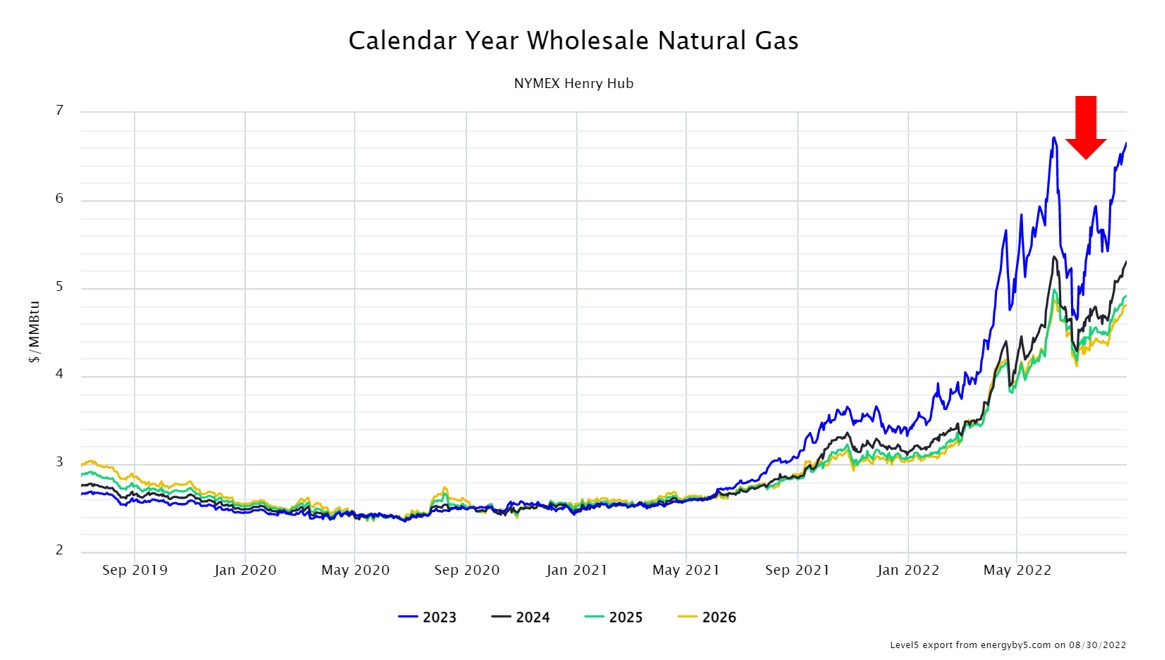 Wholesale Natural Gas prices at Henry Hub, LA