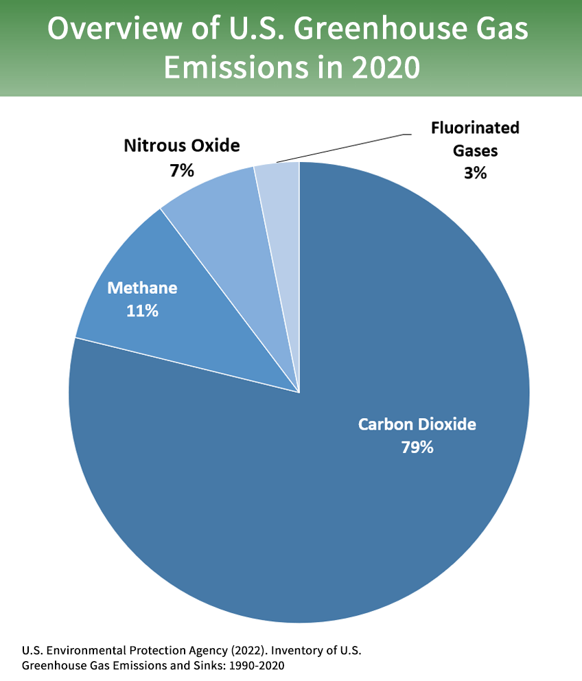 Overview of US Greenhouse Gas Emission in 2020