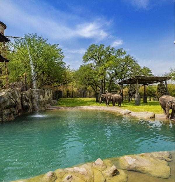FORT WORTH ZOO