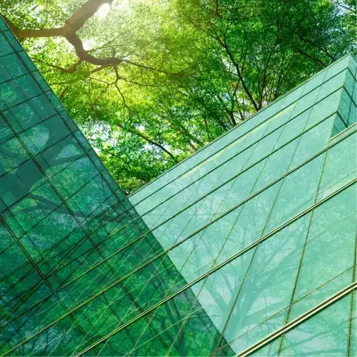 Modern glass building reflecting green trees and sunlight