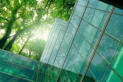 Glass office buildings reflecting trees and sunlight from a surrounding forest canopy